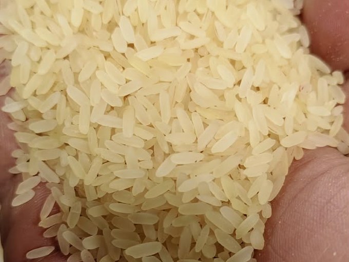 Steam rice grains