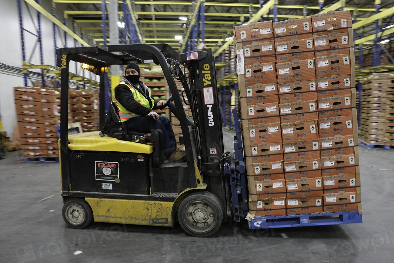 Warehouse handling palletised goods for export