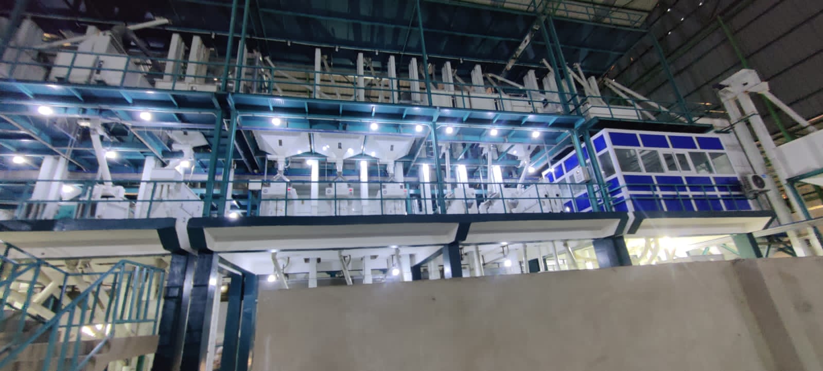 Rice processing visual