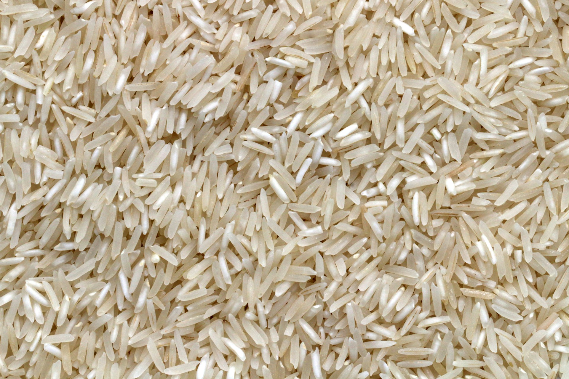 Long grain rice product visual